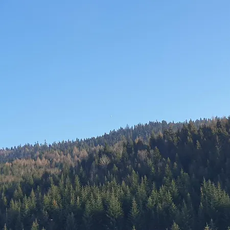 Lägenhet W Gorcach *