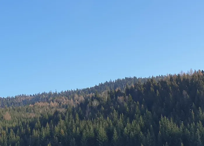 Appartement W Gorcach *